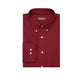 Van Heusen Oxford Solid Dress Shirt in Cayenne - 15.5"-16" Neck, 33"-34" Sleeve